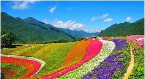  『海拔最』重庆地理之“最”，这些地方你去过吗？