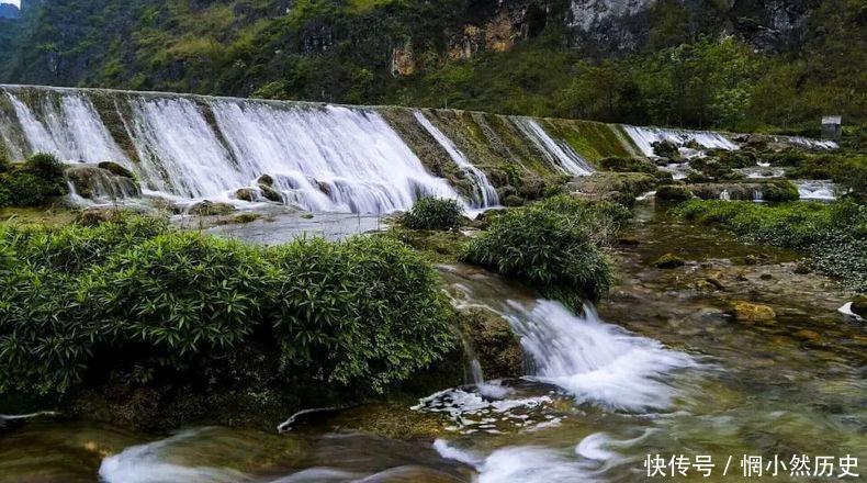 广西有一条会开花的河流, 外地人惊为奇景, 当地人却用这花做菜,
