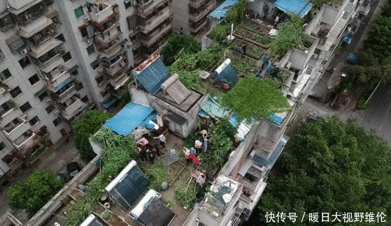 广西一小区有个“空中农场”， 一栋楼楼顶就清理出100只鸡！