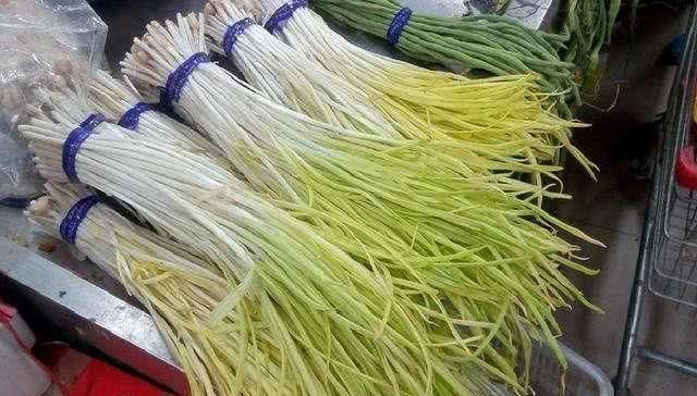  蒜黄@农民种植蒜黄，掌握适宜的生长条件，蒜黄才能长得好