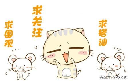 农村土地承包价格，到底怎么算？