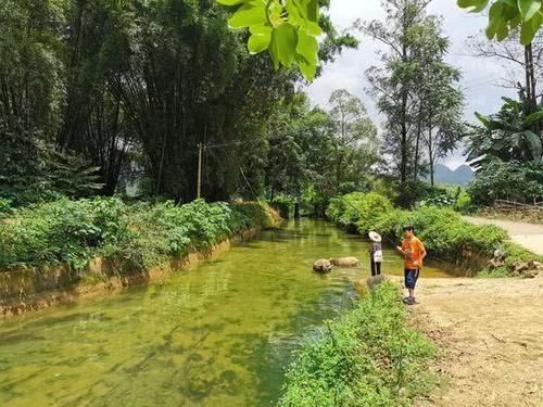 广西，放生这些鱼治理河道，如今却成“祸害”，当地人：河里全是