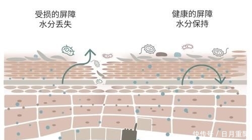  『亲自』悠长假期的护肤全记录+亲自示范教大家搭配