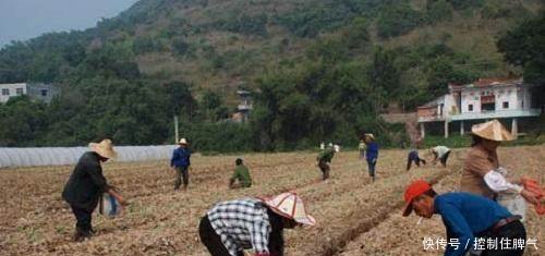 农村宅基地违规收回，2018年后，3个棘手问题农民要尽早解决