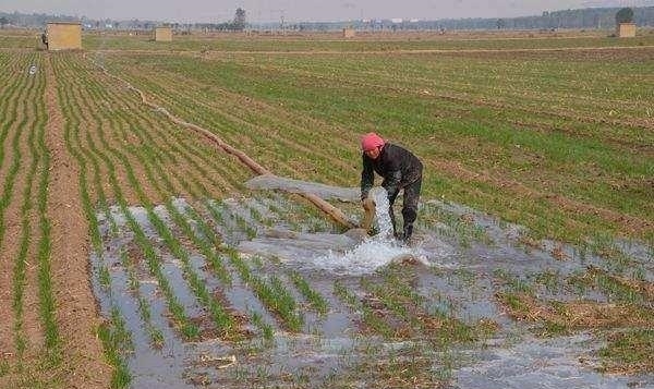 农村怪象，20多岁却一直没地种，去世20年还有地！专家：很合理！