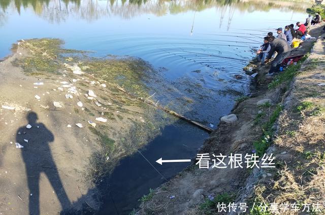 【城市】城市内河,老年人的专属钓场!流水、富养、青苔,比郊外垂钓更难