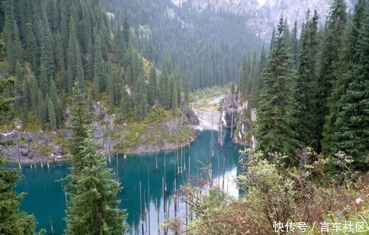 哈萨克斯坦的湖泊水下森林似仙境般美丽