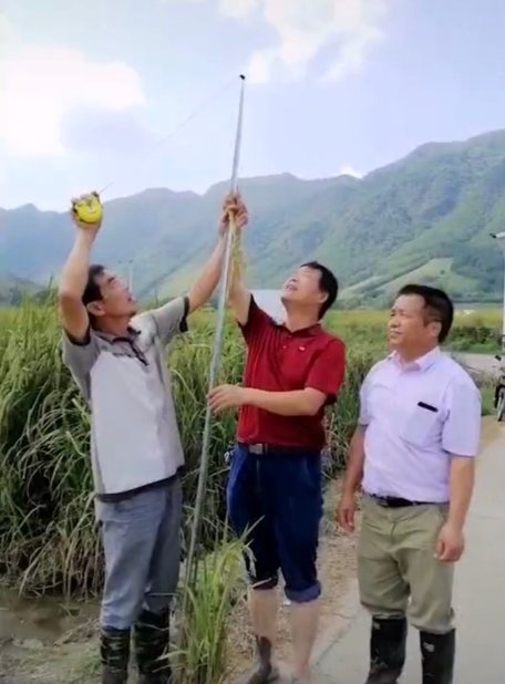  「奋斗」袁隆平有个禾下乘凉梦，经过育种人员的奋斗，如今已经