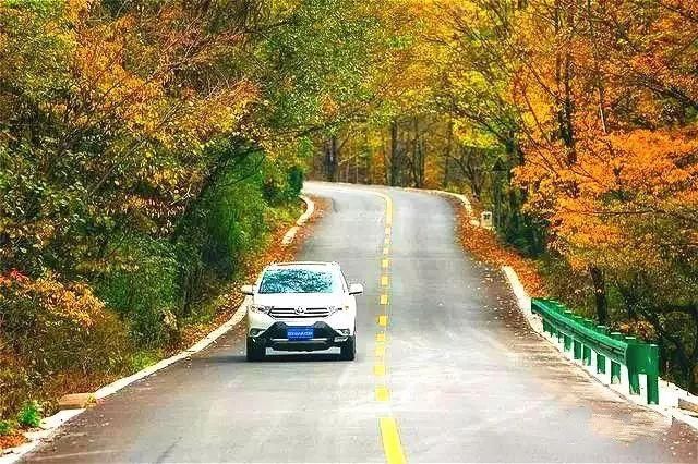 秦岭深藏敢与九寨沟媲美的地方！有条惊艳的自驾公路