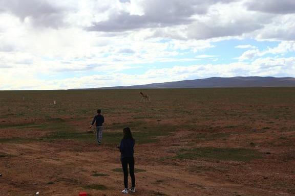 青藏线归来的感受：少自驾，命重要