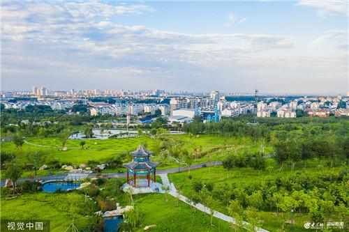 山东潍坊：森林公园秋景如画