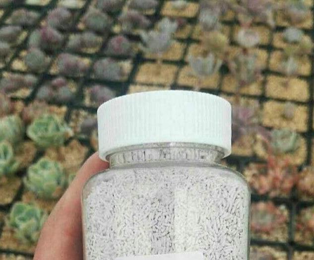  [方法]多肉生了蚧壳虫，3个方法最管用，撒一点，几年不见虫