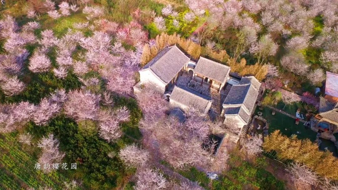  『文化之乡』许昌篇：走进全国百位文化和旅游局长访谈活动