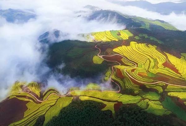 这个春节假期，迷失在罗平的油菜花海里，难以自拔，不想回去上班