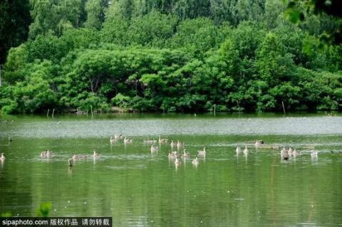 北京部分景区暂时关闭 这些美景只能明年再见