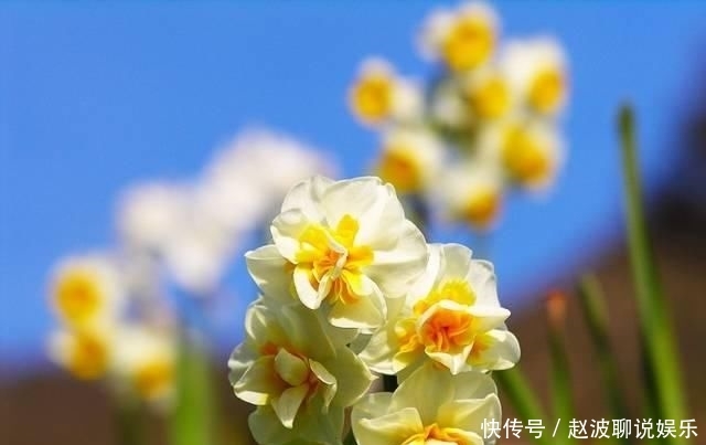 #对待感情#彼此相爱是这四大星座结婚的唯一前提