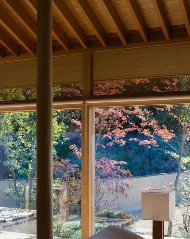 除了中式、西式，我更爱上了日式院子