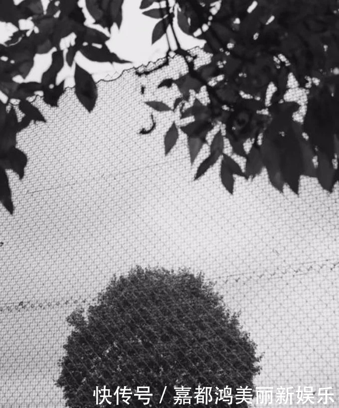 摄影师■对摄影师而言,摒弃色彩会让视觉效果更加纯粹