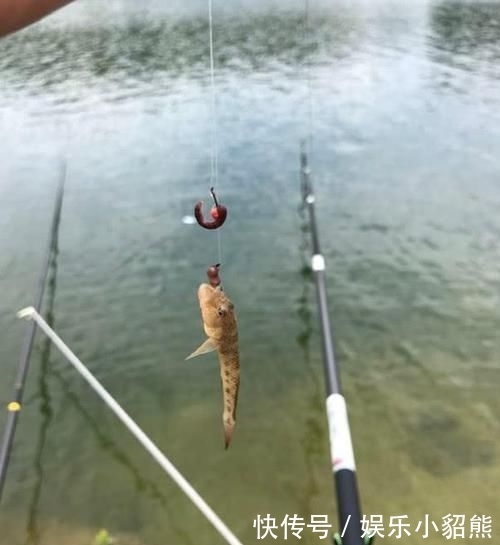 『水库』越来越没地方钓鱼,越来越没鱼钓,怪谁?钓鱼人真的要反省了