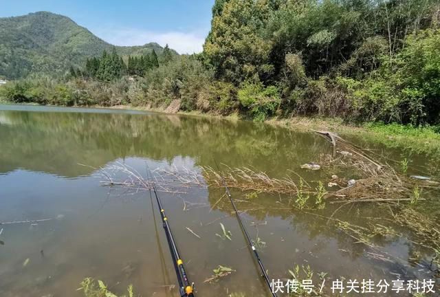  [水面]小水面钓短，大水面钓长？未必，有时候打破常规反能提升渔获