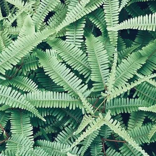 太实用了，用手机拍出好片的10个绝招！