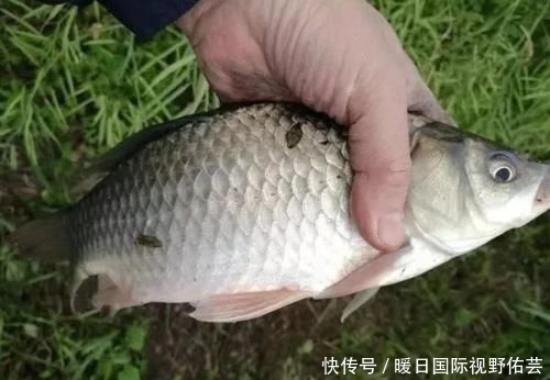  『水质』刮什么风最好钓鱼和最难钓鱼？17年的经验，得出了这个结论