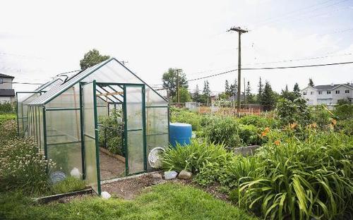 为什么我的阳光房是违建 为什么别人家阳光房没事