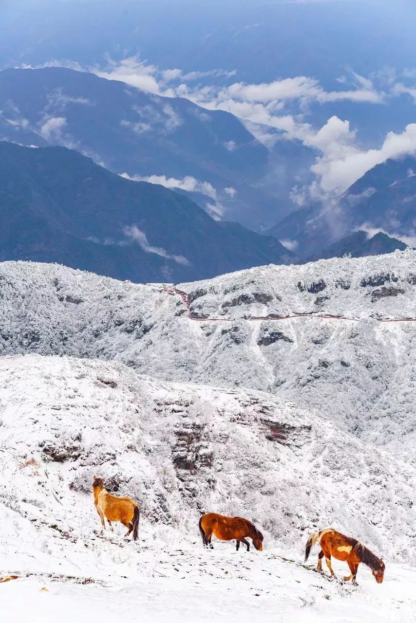 四川这座小城，叫板稻城亚丁，不输江南，藏着亚洲第一云海，高铁
