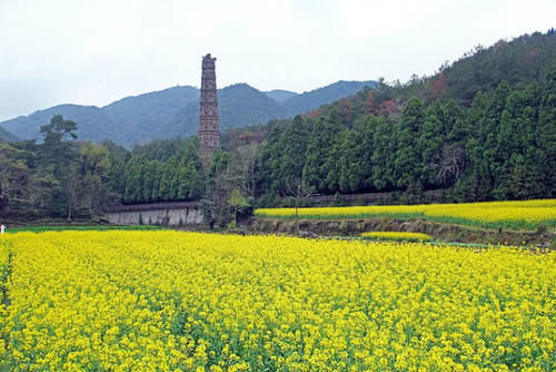  「实力」浙江“可塑造性”最强的城市，直逼杭州与温州，实力从