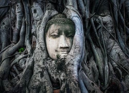 朱熹故居有一“树抱佛”，树里藏有一尊佛像，奇景至今成谜