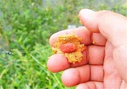  『钓调』野钓调漂，其实还要看钓饵用什么，不同的钓饵，调钓思路也不同