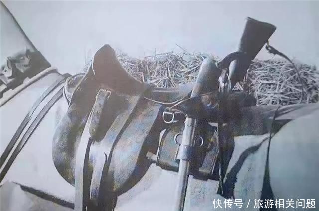  【20世纪初】不开刃就能对步兵一击必杀！实战解析英军最后一款骑兵刀