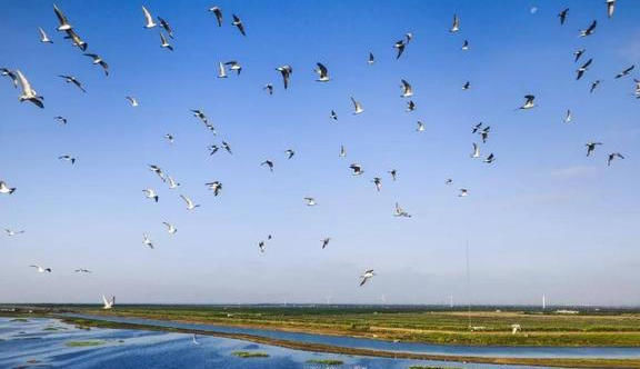 中国这里，是世界最大填海造陆工程，面积达152平方公里