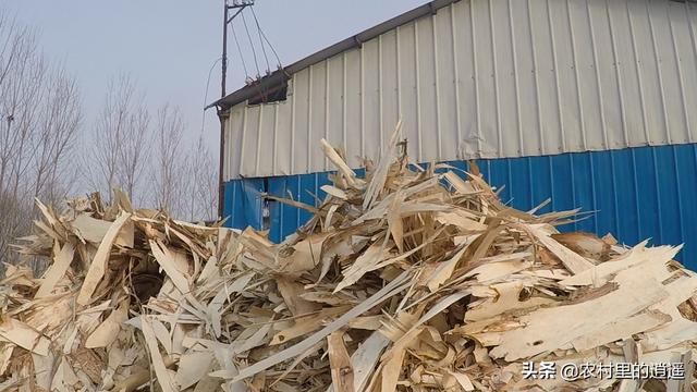 农村创业项目，杨树加工，一年买车买房娶新娘