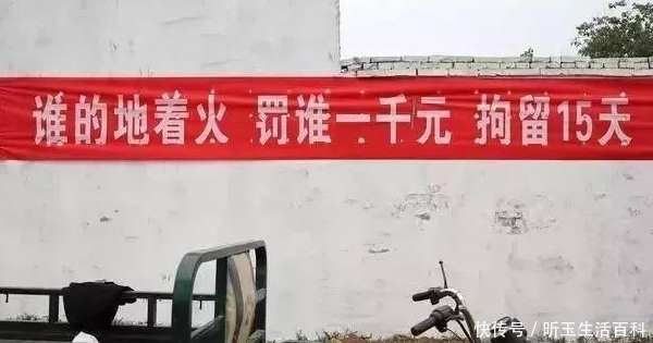  「秸秆」中秋后，村干部迎重点任务，2件事管不好要受罚，甚至取