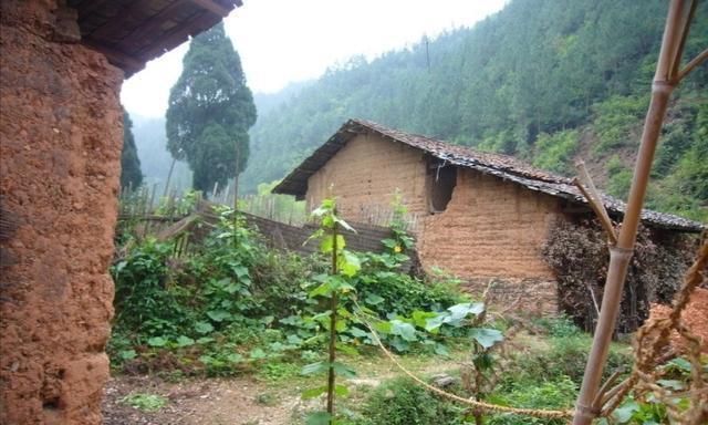  「技巧」南瓜种植技巧多套种不是利润翻倍的关键，新型售卖方式已出