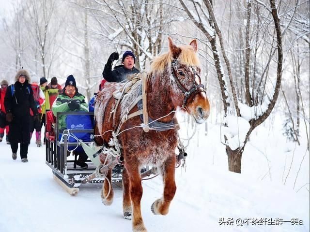 明码标价坑游客的雪乡有多坑？游客：吃盒方便面花了140元！