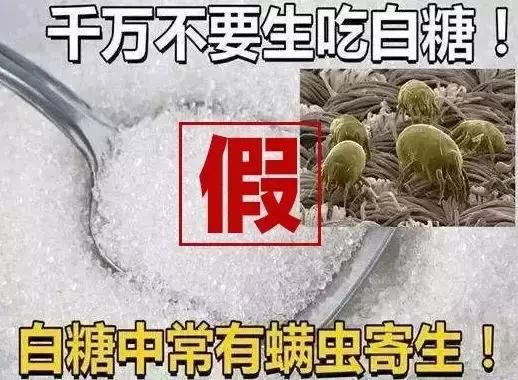 莫墨侃事｜菌类和茄子一起吃有毒！7月这些谣言，你中招了吗