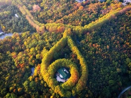  两城|我国10大副省级市：南京第六，深圳排第一，浙江山东也有两