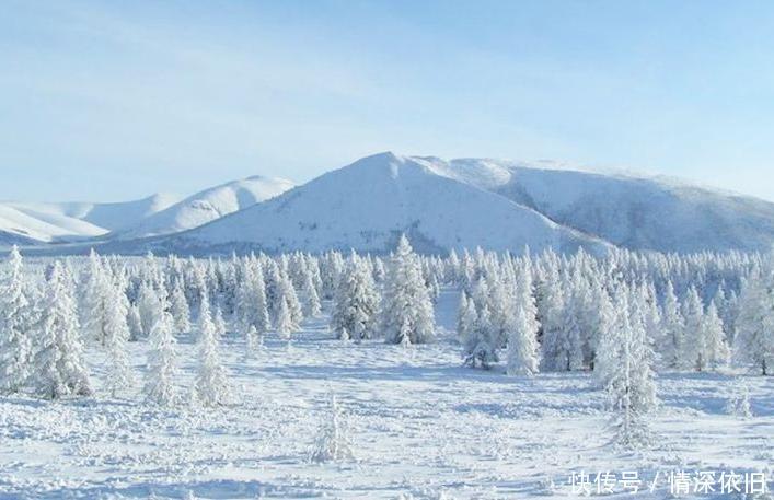 “战斗民族”有多野性？零下71度熊都扛不住，俄罗斯人度过了！