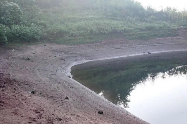  「伏龙水库」我是如何钓获这条23斤的大鲤鱼？圆滚滚的像小猪，破了我的记录