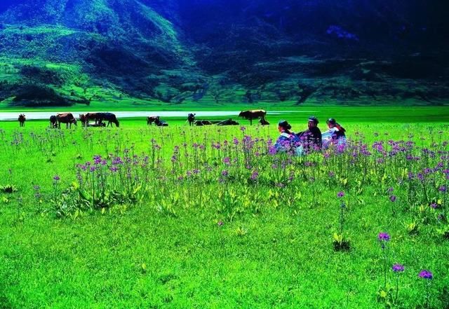 文海——“世外桃源般的村庄 少有的人间天堂”