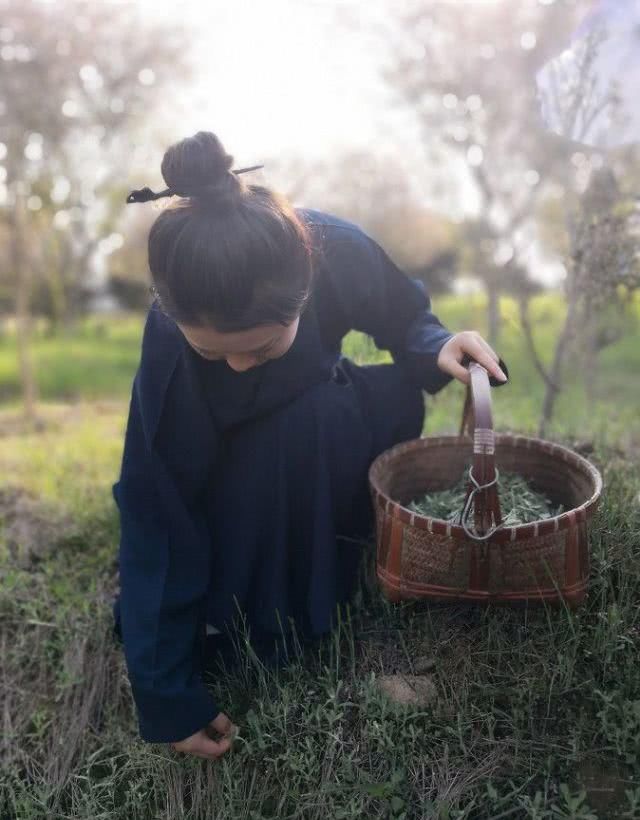 如何像李子柒一样火爆朋友圈？这一组绝美照片会给你答案！