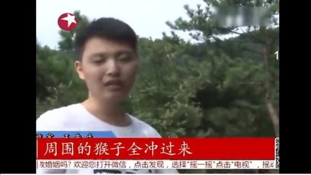 景区猴子撕扯游客背包翻零食，无底线纵容，还是该制止？