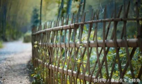  「快乐」篱笆小院住在乡村的快乐，你想体验吗！