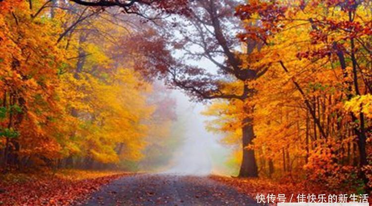 海南最大的荒岛: 万宁达州岛,相见恨晚