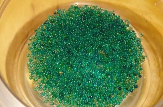  「释迦牟尼」释迦牟尼佛，真身舍利！瞻礼者，获福无量