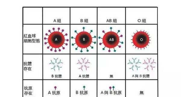 全国哪种血型的人最多？和你一样血型有多少人？血型与性格有关吗