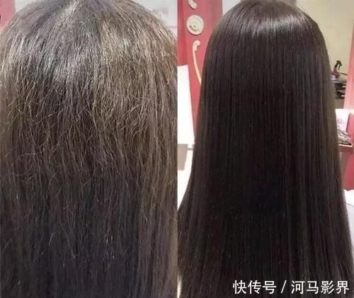  「发素保养」理发师透露：洗头要先用“护发素”！我一直用错，难怪老是掉头发