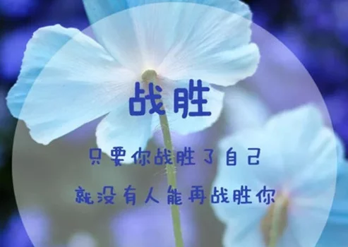 正能量励志断句,经典励志文艺句子